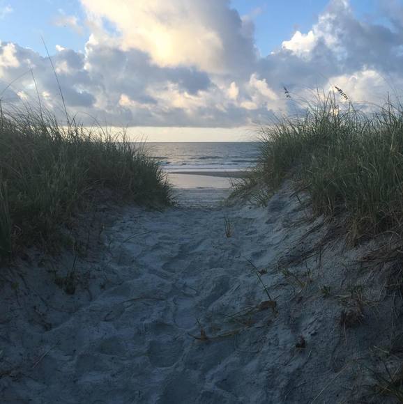 dawnschultz812